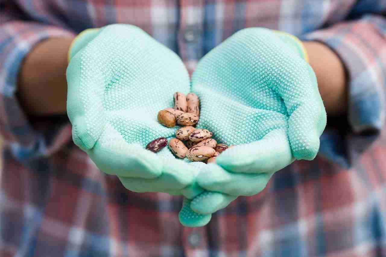 Curso online de alergias e intolerancias alimentarias